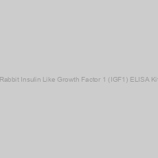 Image of Rabbit Insulin Like Growth Factor 1 (IGF1) ELISA Kit